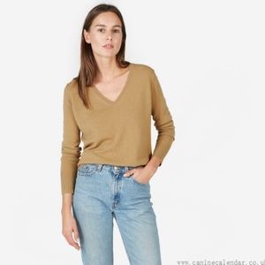 Everlane V-neck Cashmere Sweater